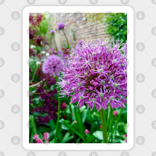 Allium Sticker by Dpe1974